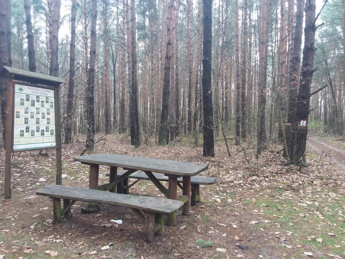 Dworek Akacja Uslugi Hotelarskie Janowiec Exterior foto